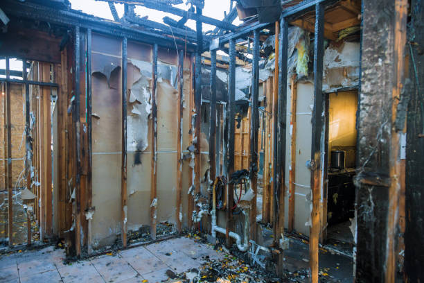 Professional Smoke Damage Removal technician working in Kingston, PA